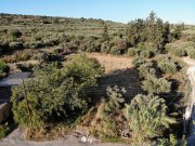 Agii Pantes im Apokoronas Kreta, Agii Pantes: Schönes Dorfgrundstück mit Bergblick zu verkaufen Grundstück kaufen